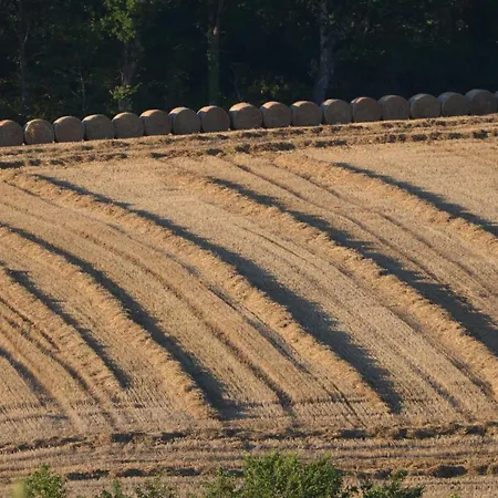 Peyrouteau, Bucolique. Dému